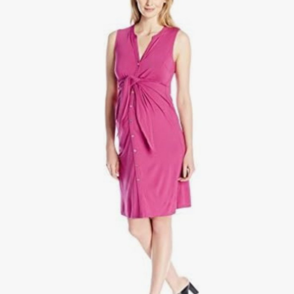 RIPE Maternity Maternity/Nursing Dress - Magenta